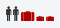 Economy Luggage | PSD Vehicle Rental